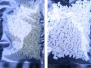 freeze drying products-rice