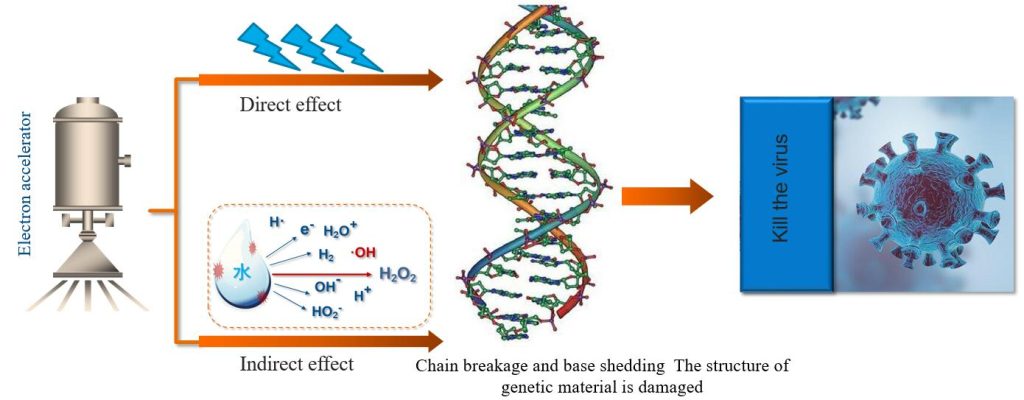 Electron sterilization priciple -2